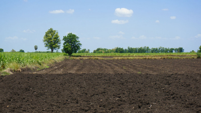 Situato nel cuore di Vicenza, nella rinomata zona di Casale, proponiamo in vendita un ampio terre...