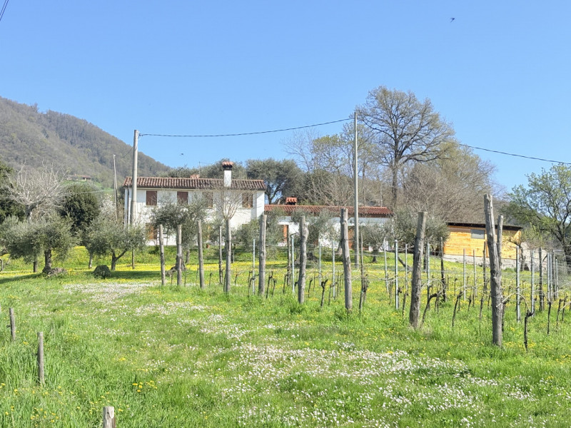 Se stai cercando un rifugio tranquillo nel cuore dei Colli Euganei, questa porzione di bifamiliar...