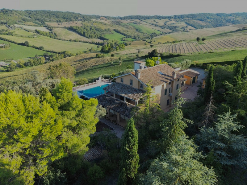 Villa Lola, il lusso a pochi km dal mare in vendita nelle Marche con piscina e dependance.
La vil...