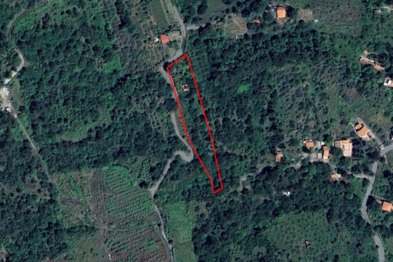 Piedimonte Etneo Vendita Terreno terreno agricolo/coltura