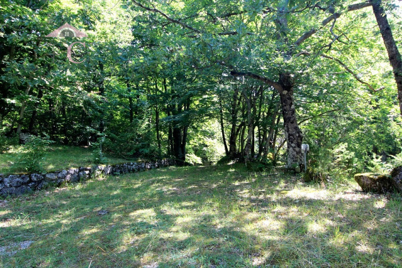Polino Vendita Casa singola