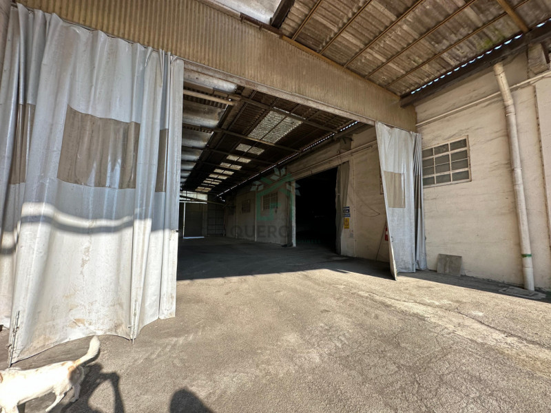 Magazzini e depositi in Vendita a Albaredo D'Adige