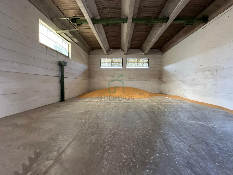 Magazzini e depositi in Vendita a Albaredo D'Adige