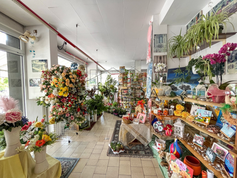 TREVISO 

RIFERIMENTO: TV24

Scopri altre opportunità sul nostro sito e approfitta dei nostri ser...