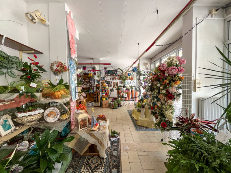 TREVISO 

RIFERIMENTO: TV24

Scopri altre opportunità sul nostro sito e approfitta dei nostri ser...