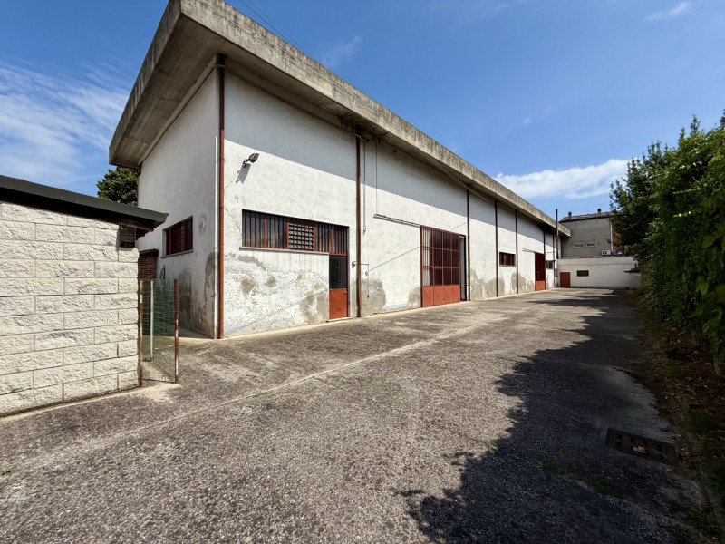 Cerea Vendita Magazzino