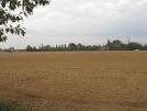 Borgoricco Vendita Terreno terreno agricolo/coltura