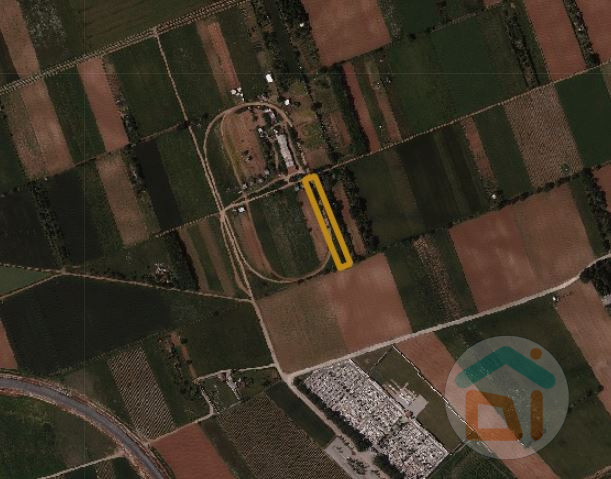 Gradisca d'Isonzo Vendita Terreno terreno agricolo/coltura