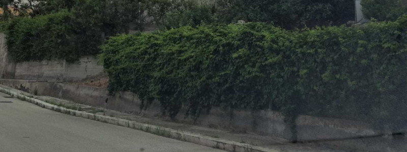 Raddusa Vendita Appartamento