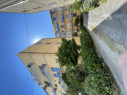 Ortona Vendita Appartamento
