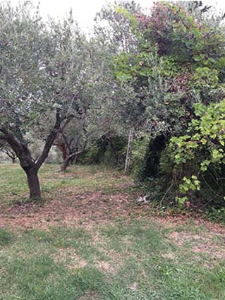 Maltignano Vendita Appartamento