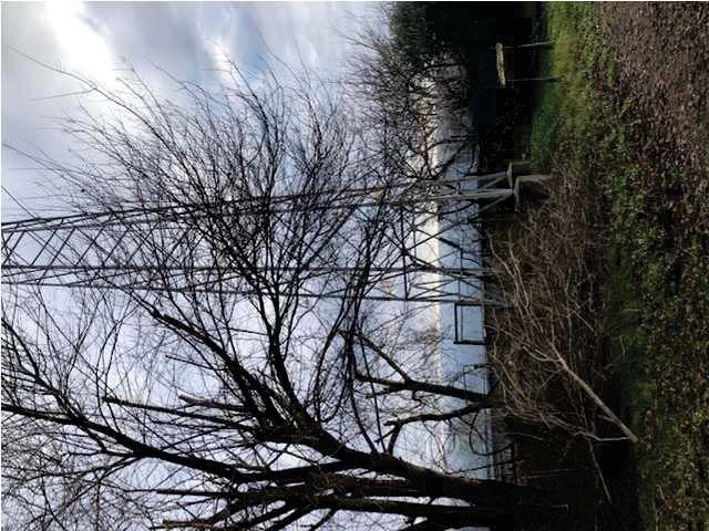 Carbonera Vendita Appartamento