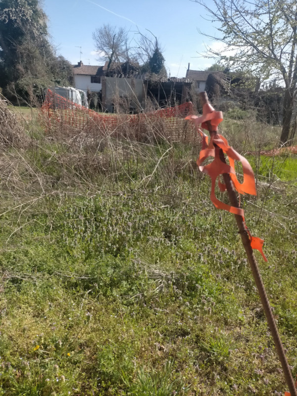Castelnovetto Vendita Appartamento