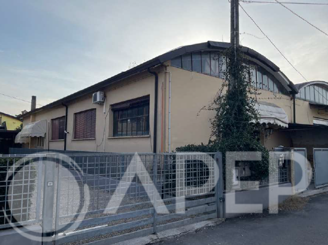 Torreglia Vendita Appartamento