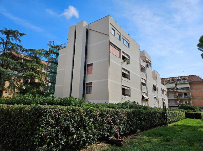 Grosseto Vendita Appartamento