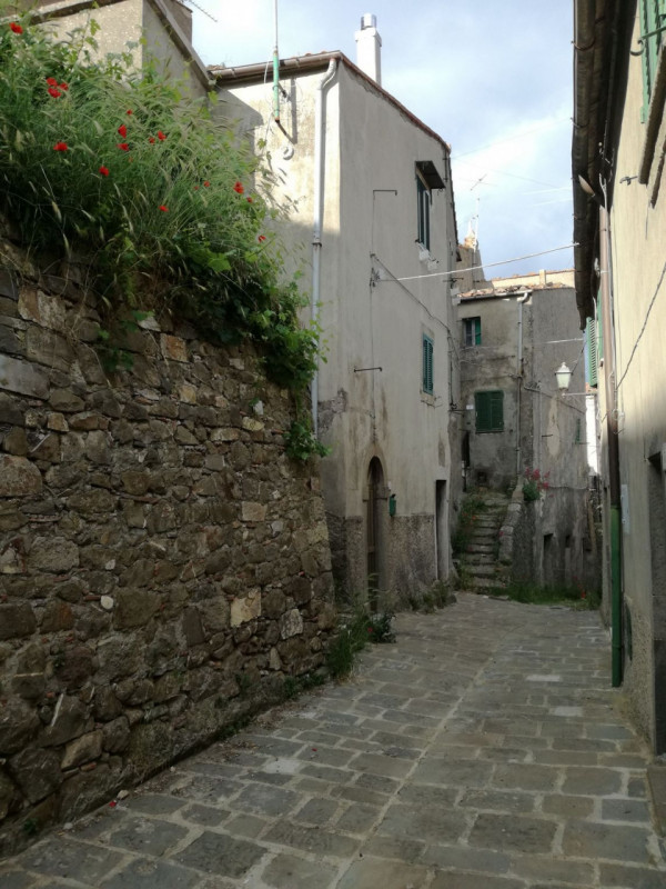 Arcidosso Vendita Appartamento