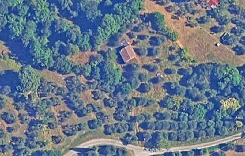 Sinalunga Vendita Terreno terreno agricolo/coltura