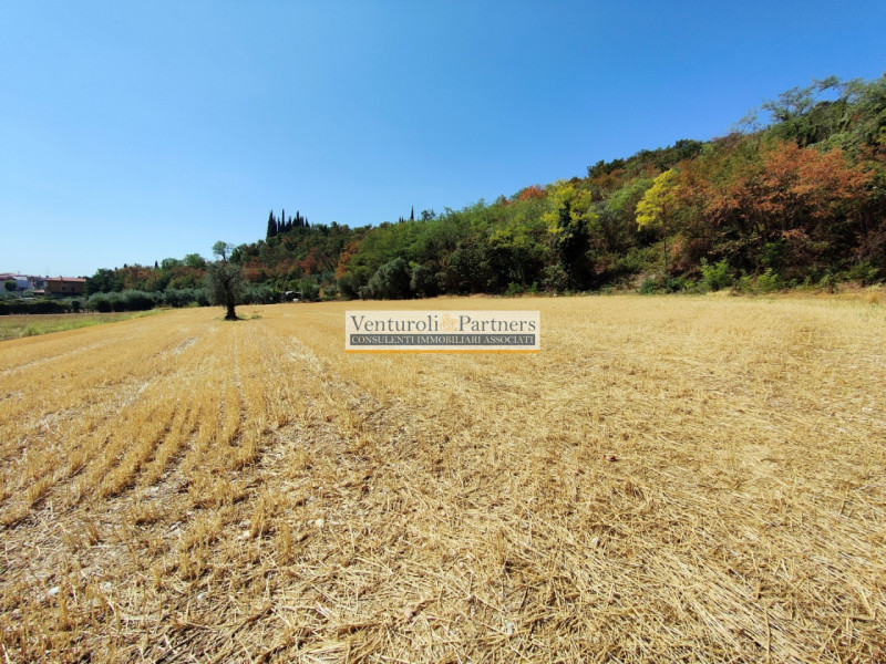 Lonato del Garda Vendita Terreno terreno agricolo/coltura
