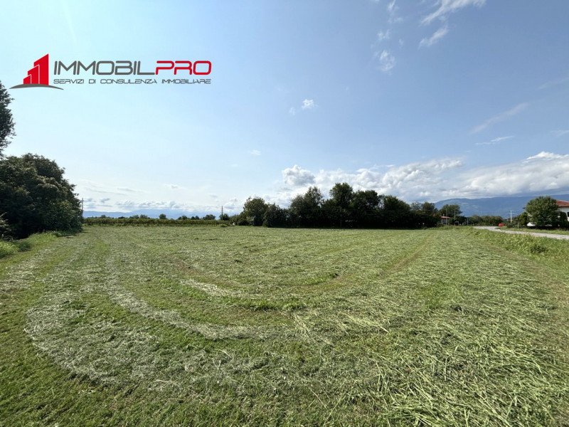 Breganze Vendita Terreno terreno agricolo/coltura