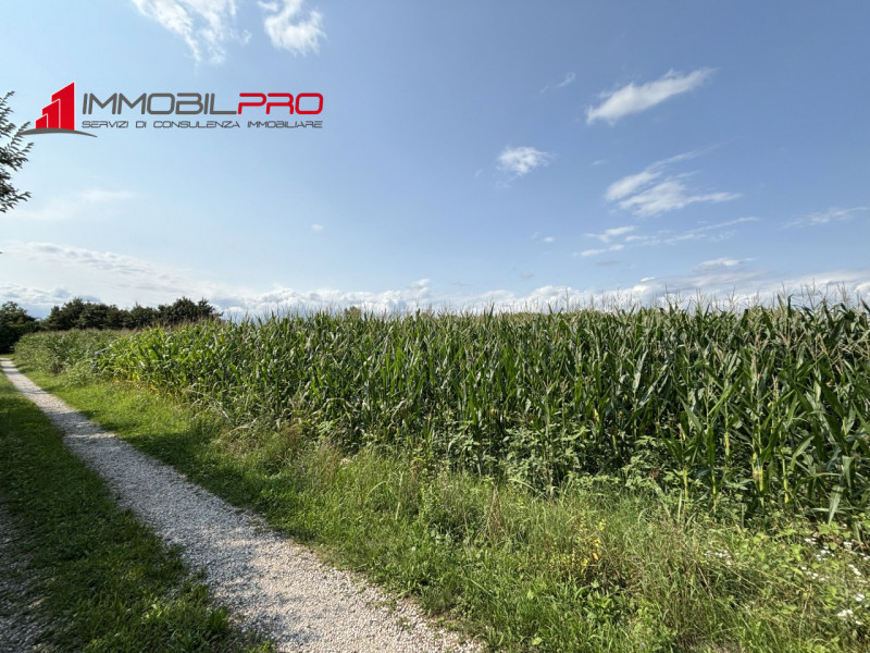 Proponiamo in vendita un terreno agricolo di 3040 mq, situato in una tranquilla zona di campagna ...