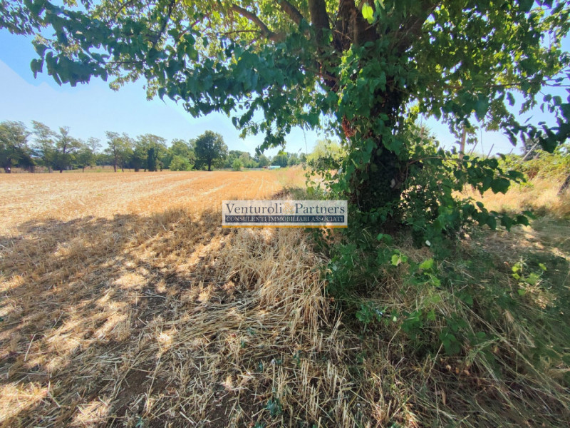 Lonato del Garda Vendita Terreno terreno agricolo/coltura