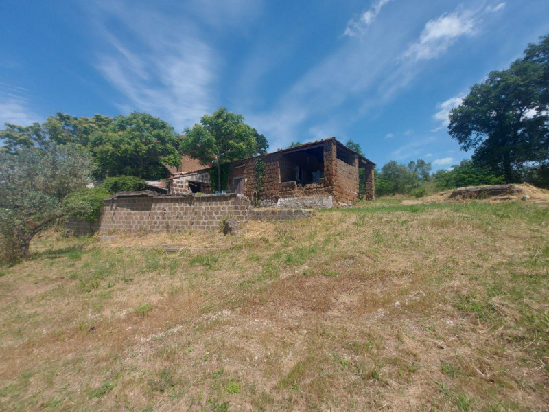Civita Castellana Vendita Terreno terreno agricolo/coltura