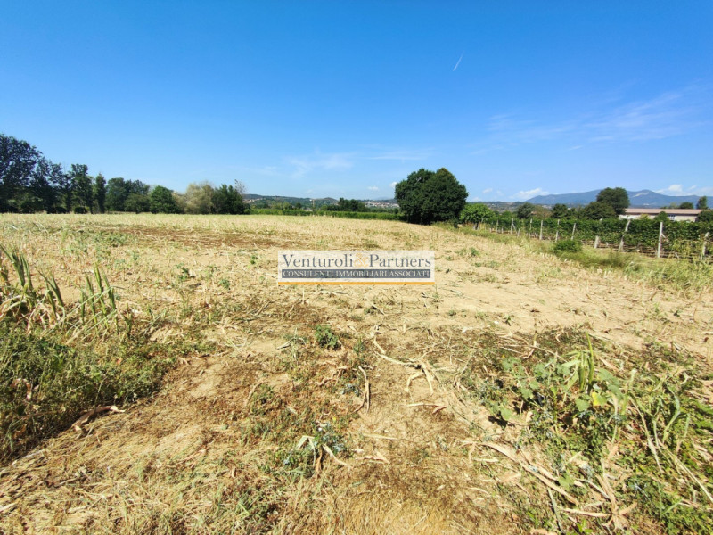 Lonato del Garda Vendita Terreno seminativo