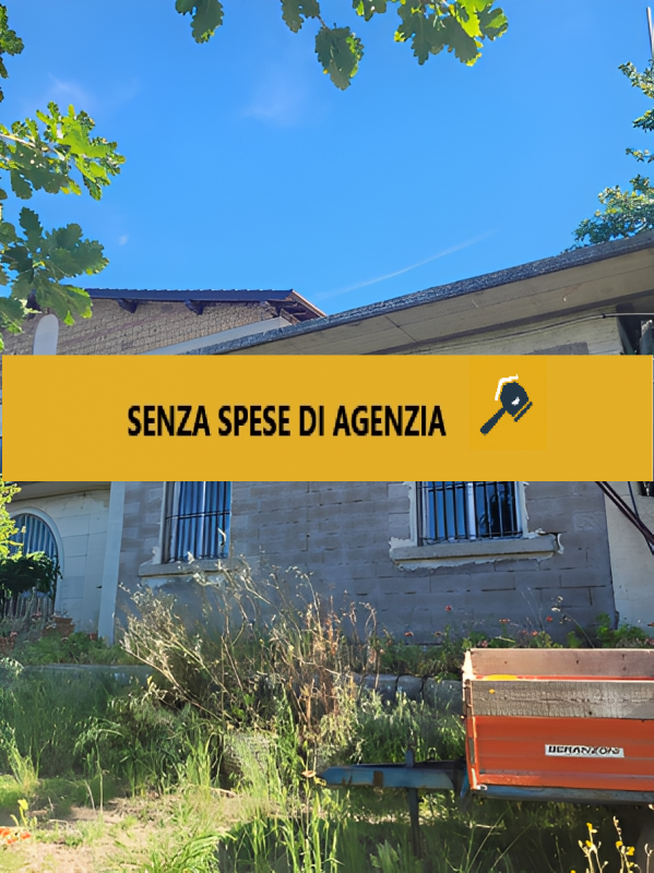 Villa San Giovanni in Tuscia Vendita Magazzino