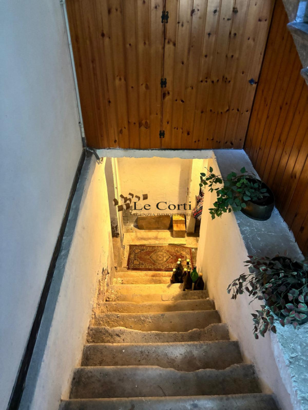 Nell'immediata vicinanza al centro di Lonigo, proponiamo in vendita un elegante palazzetto risale...