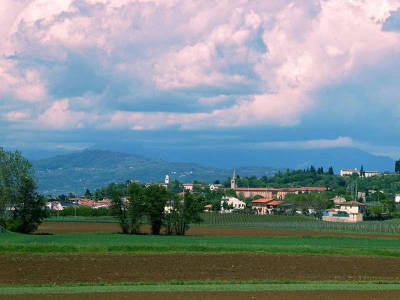 Lonigo Vendita Casa singola