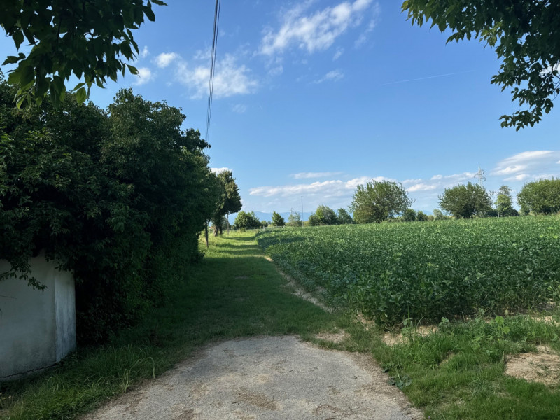 ANCONETTA- Proponiamo in vendita esclusiva villa singola di ampia metratura (circa 250 mq) costru...