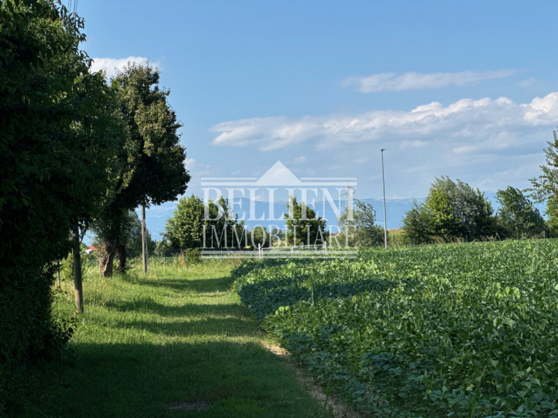 ANCONETTA- Proponiamo in vendita esclusiva villa singola di ampia metratura (circa 250 mq) costru...