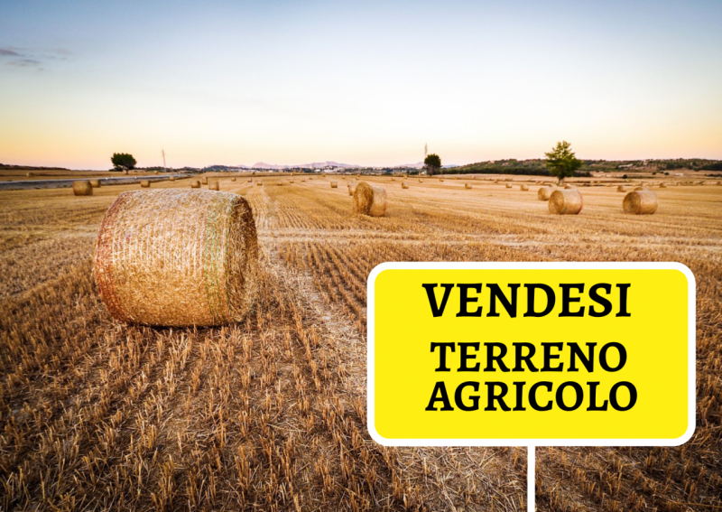 Correzzola Vendita Terreno terreno agricolo/coltura