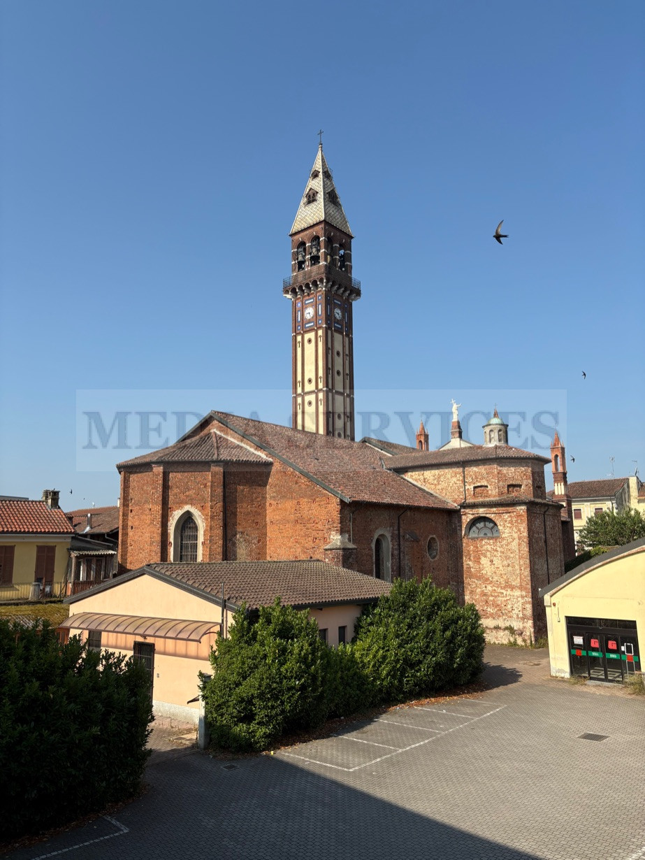 immagine annuncio 12 di 15