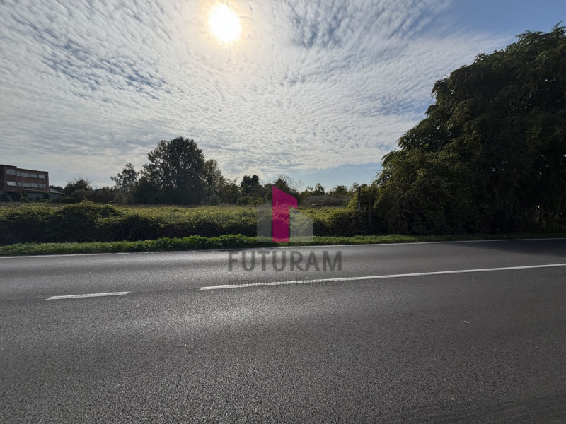 OSPEDALETTO EUGANEO - rif.647MIC - Per info 3473209826 - terreno EDIFICABILE ubicato lungo strada...