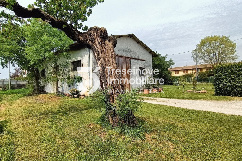 (Per INFO Feltrin ing. Gianni 3288349492) Proponiamo in vendita a Morgano una soluzione unica per...