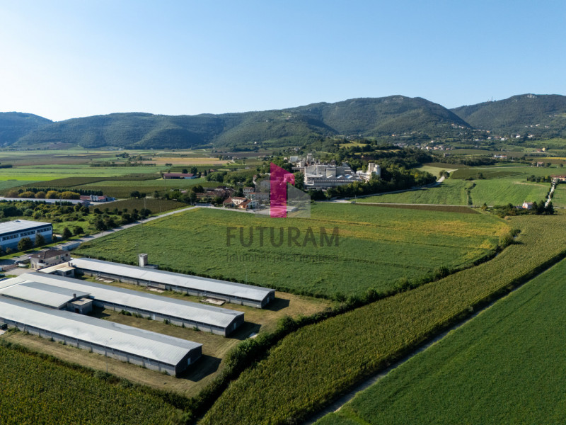 Villaga (VI) Rif. V-T-MAT  Telefono 3403358378 - 0444310220

NOSTRA ESCLUSIVA
Terreno edificabile...