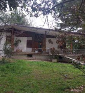 Rif. A.A.7277-242

Vendita all'asta - villino unifamiliare su due livelli con giardino in data 26...