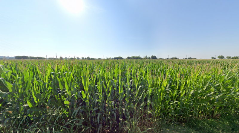 Castiglione delle Stiviere Vendita Terreno terreno agricolo/coltura