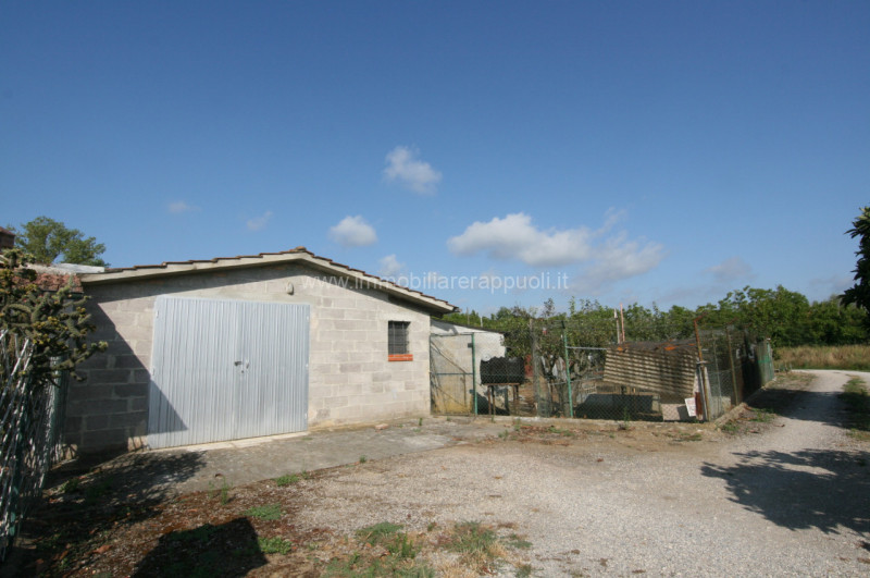 Sinalunga Vendita Rustico rustico di campagna