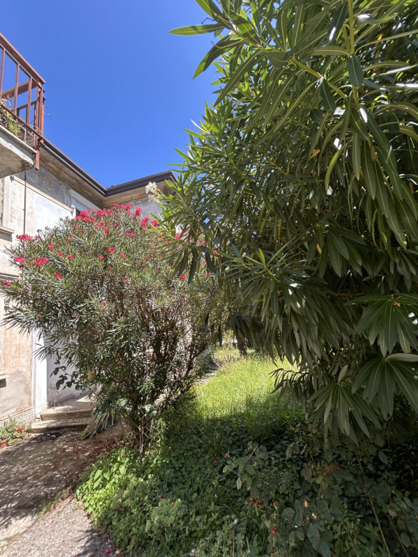 Vigonza Vendita Casa singola terratetto