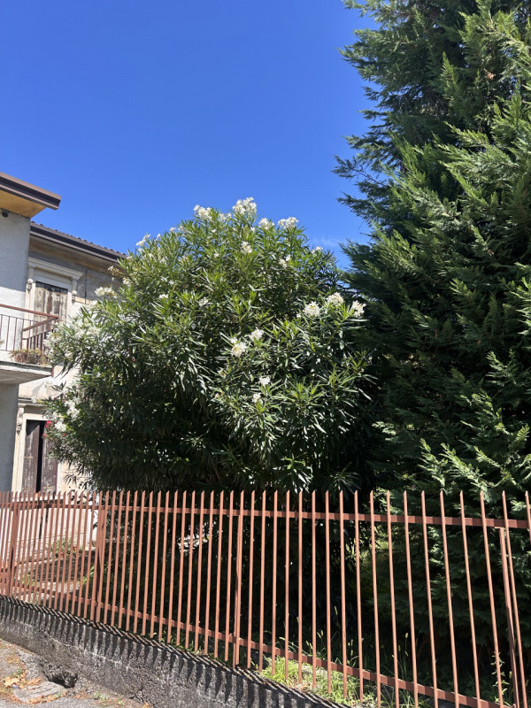 Vigonza Nicoletta Dardilli di ad Casa Padova propone in vendita 
villetta in stile LIberty dispos...