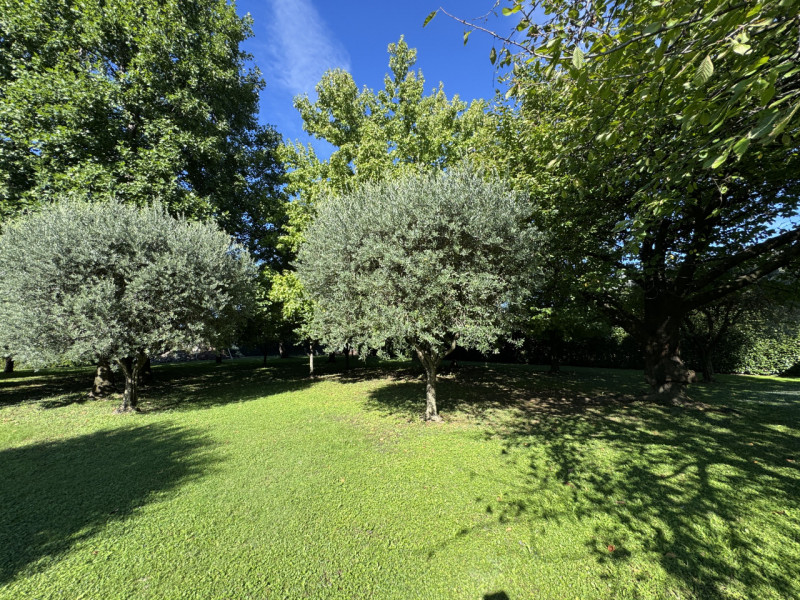 Rif.BC234  (Per info: Daniel +39 3939878704)

Proponiamo in vendita una VILLA SINGOLA immersa nel...