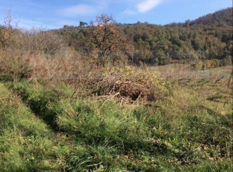 Villaga Vendita Terreno terreno edificabile residenziale