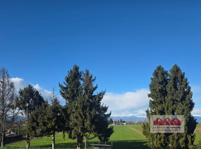 GRUMOLO DELLE ABBADESSE: IN ZONA TRANQUILLA E NON DISTANTE DAL CENTRO CITTADINO, AFFITTIAMO UNA N...