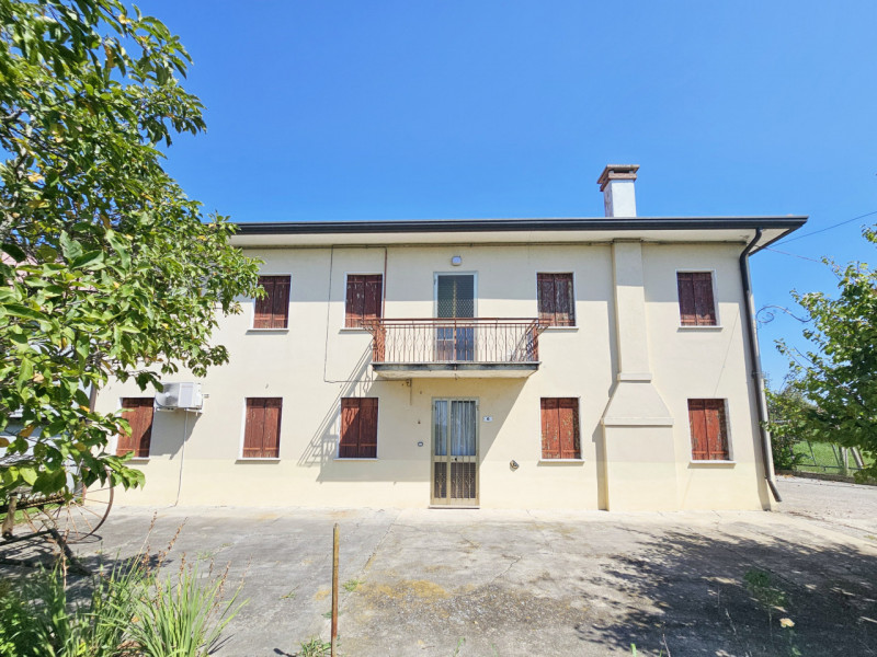 Megliadino San Vitale Vendita Casa singola terratetto