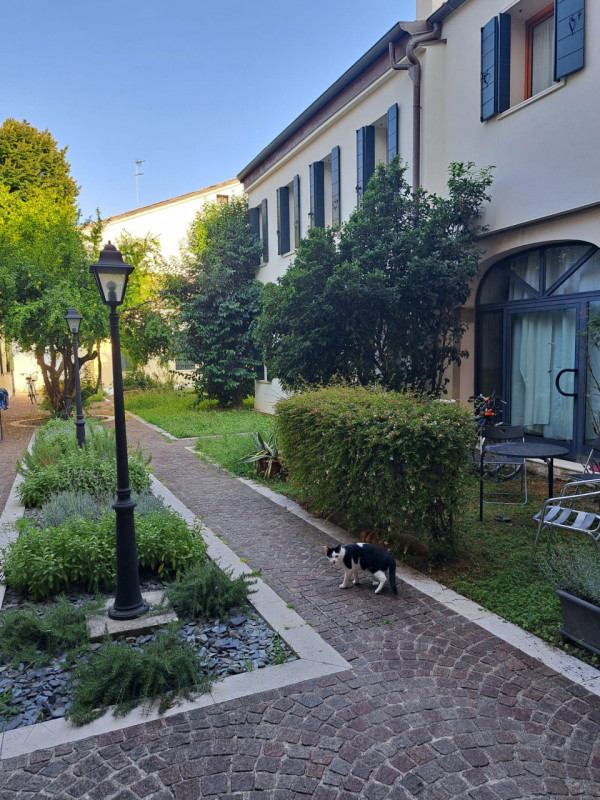 Padova Affitto Appartamento bilocale