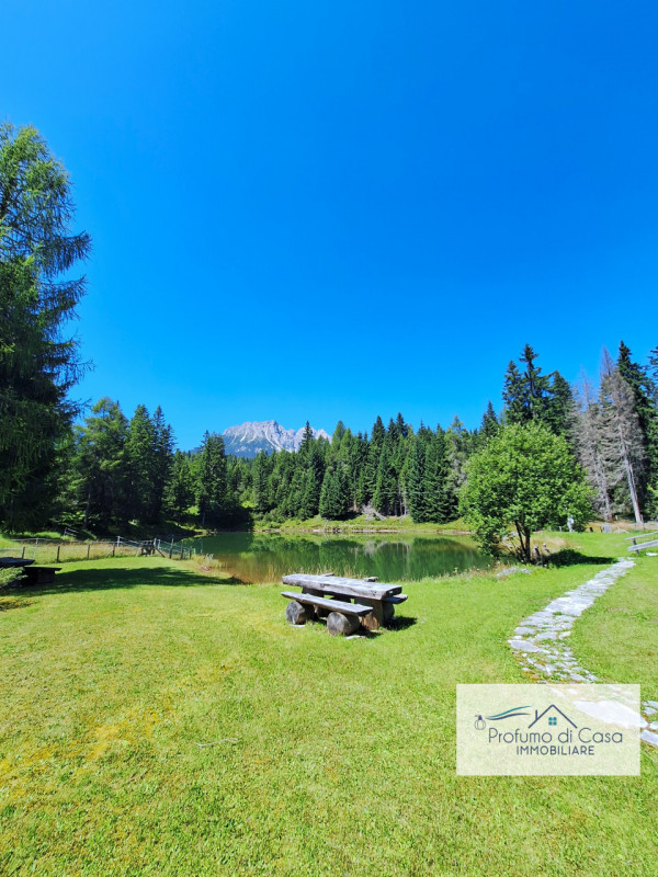 COMELICO SUPERIORE - Vi proponiamo in esclusiva uno splendido Chalet con vista sulle montagne, st...