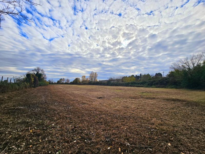 Proponiamo in vendita a Solesino, rudere composto da due abitazioni accostate, da poter abbattere...