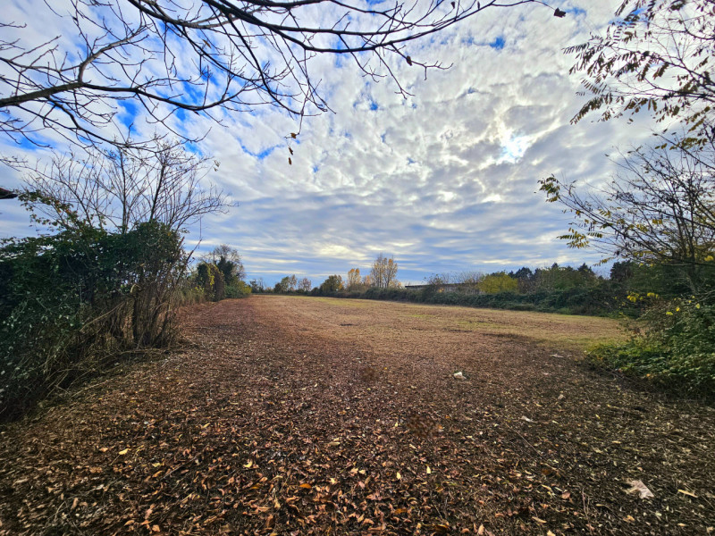 Proponiamo in vendita a Solesino, rudere composto da due abitazioni accostate, da poter abbattere...